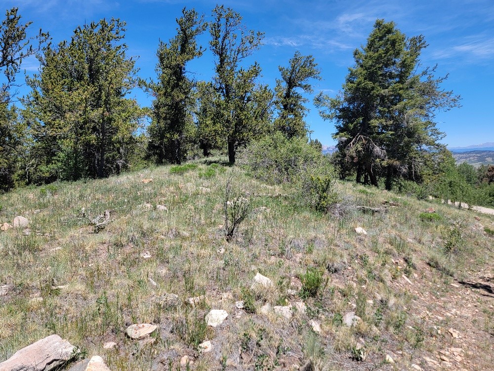 5217 Middle Fork Fairplay CO 80440