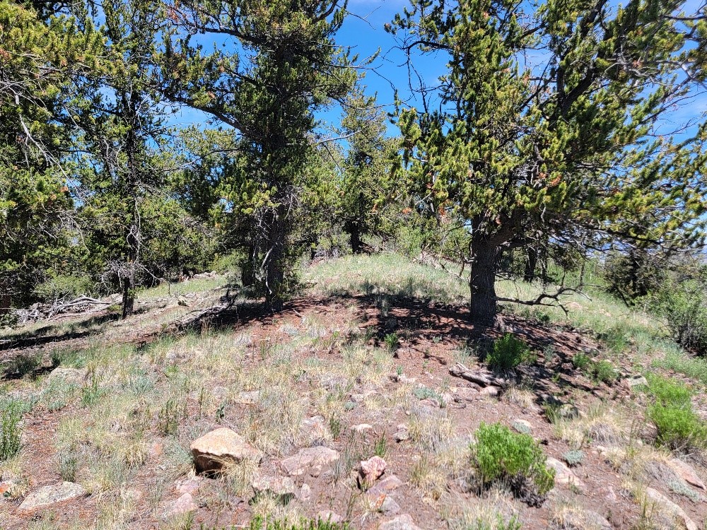 5217 Middle Fork Fairplay CO 80440