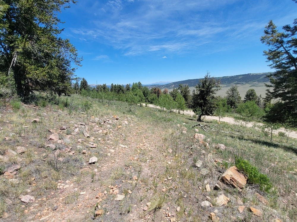 5217 Middle Fork Fairplay CO 80440