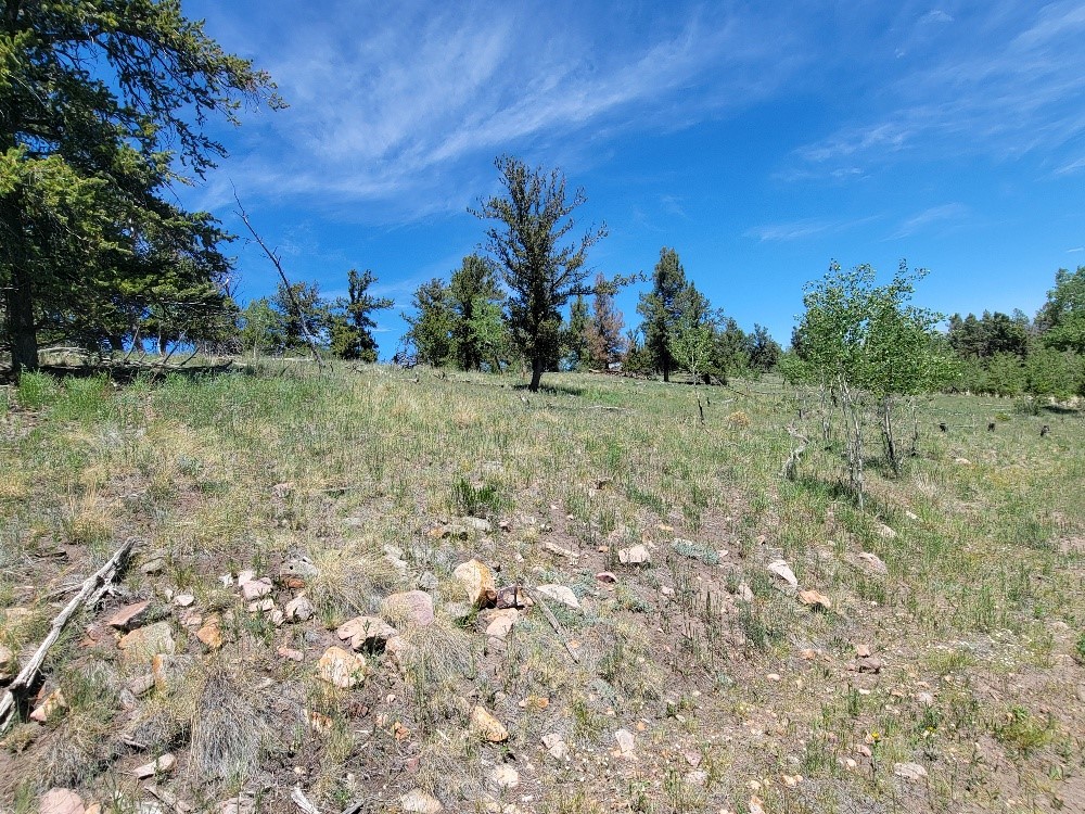 5217 Middle Fork Fairplay CO 80440