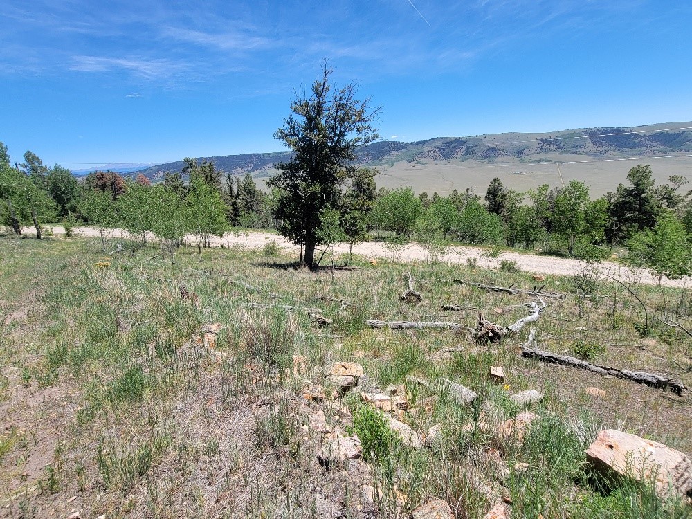 5217 Middle Fork Fairplay CO 80440