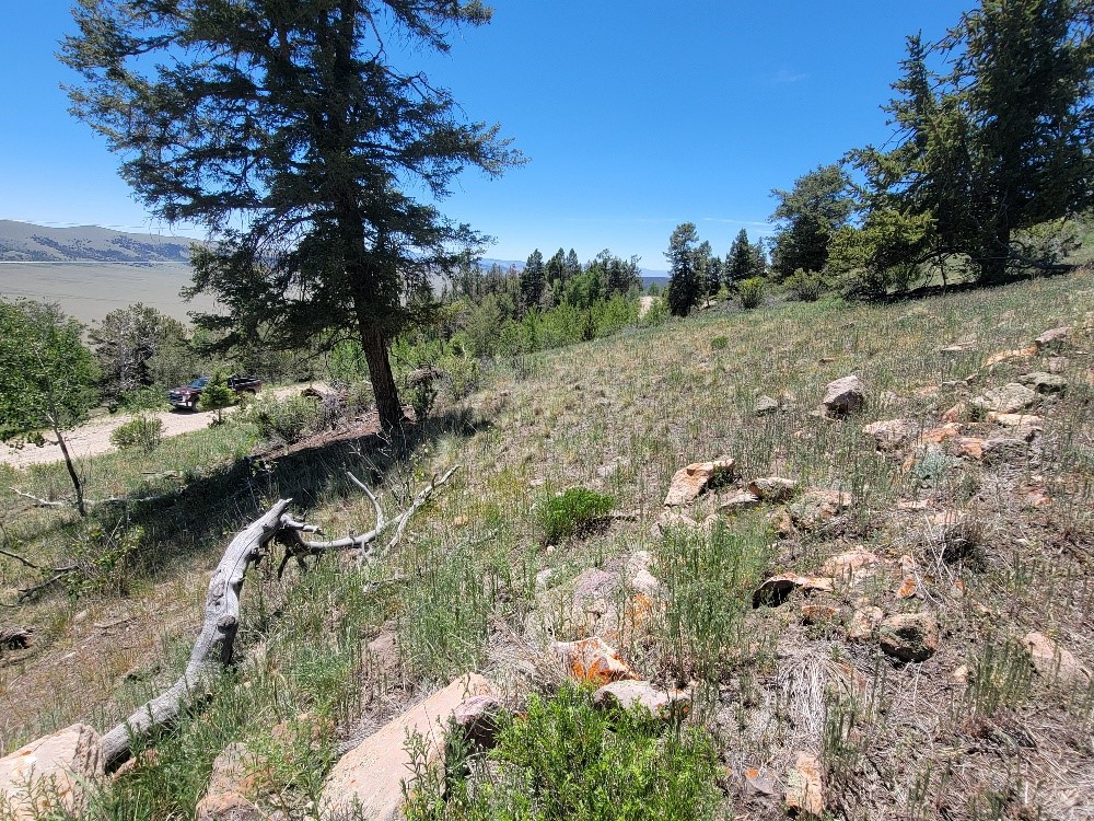 5217 Middle Fork Fairplay CO 80440