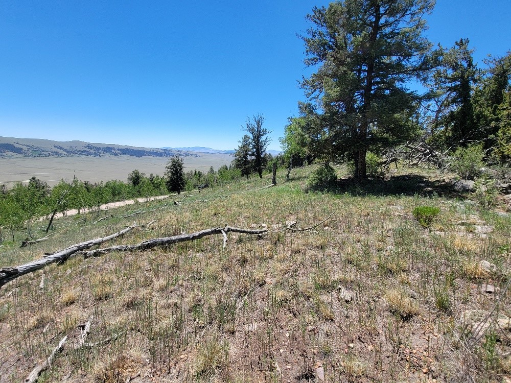 5217 Middle Fork Fairplay CO 80440