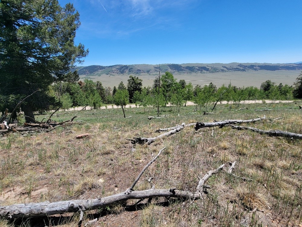 5217 Middle Fork Fairplay CO 80440