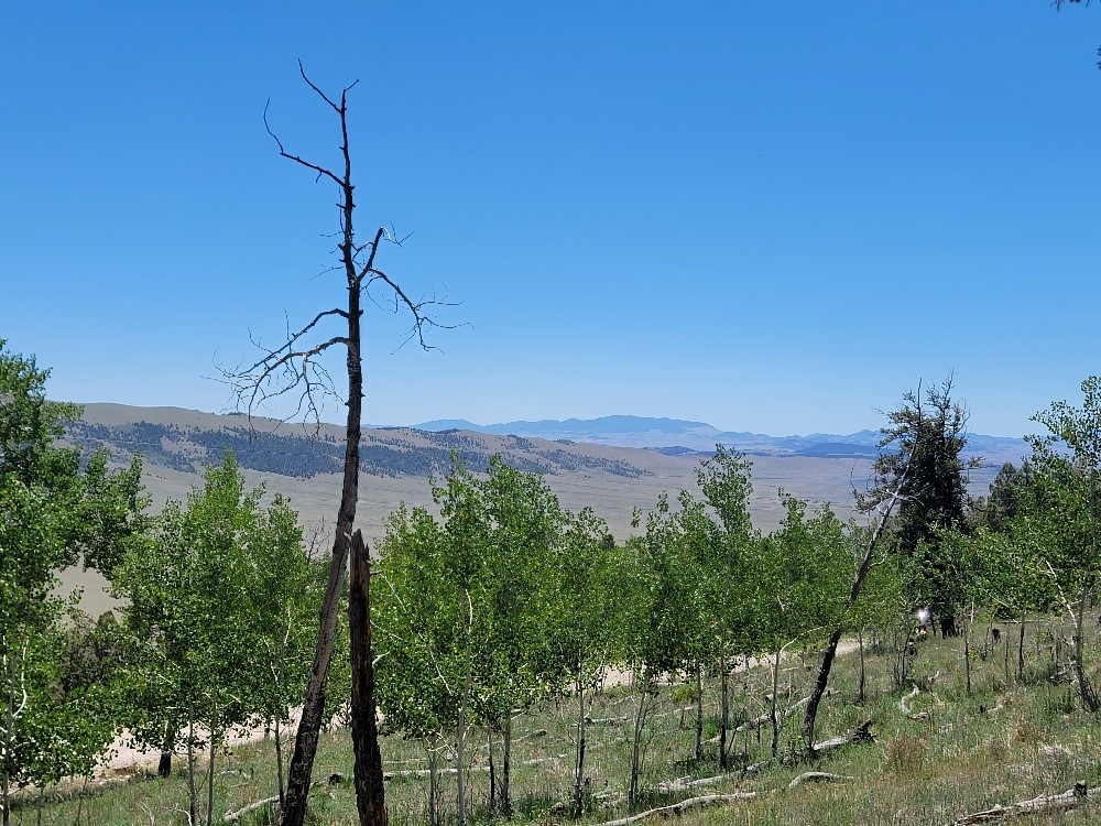 5217 Middle Fork Fairplay CO 80440