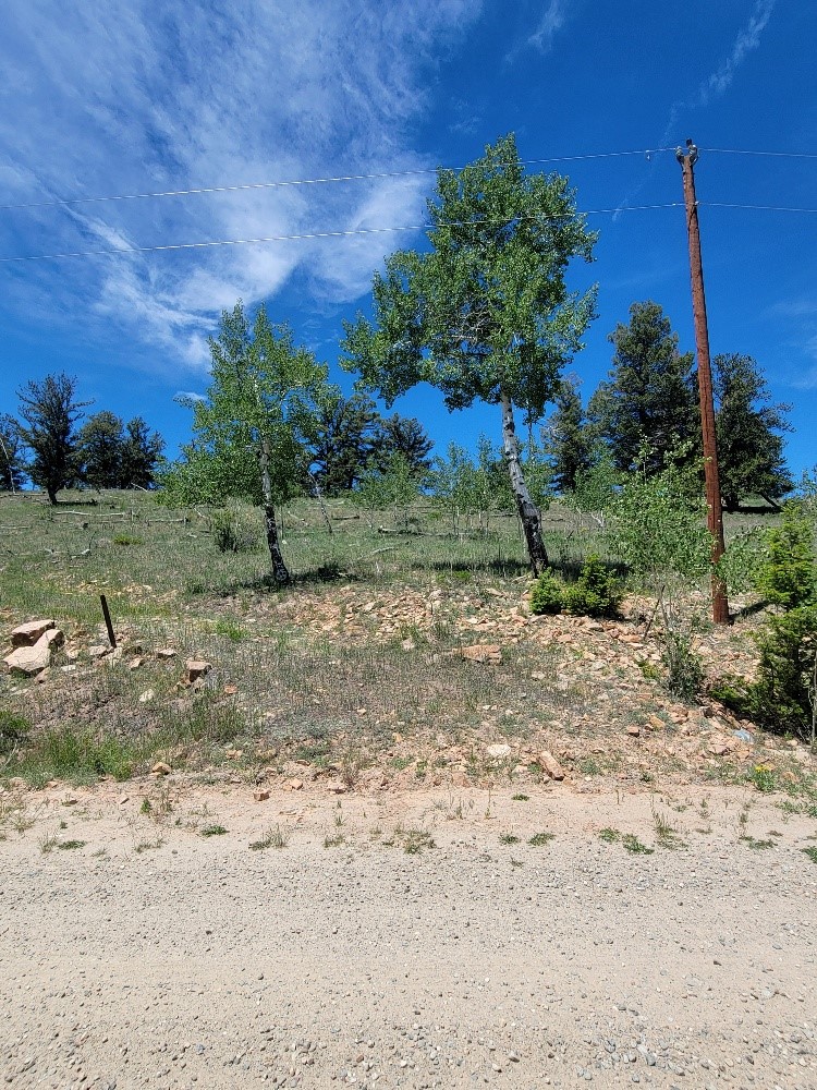 5217 Middle Fork Fairplay CO 80440