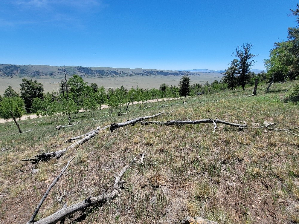 5217 Middle Fork Fairplay CO 80440