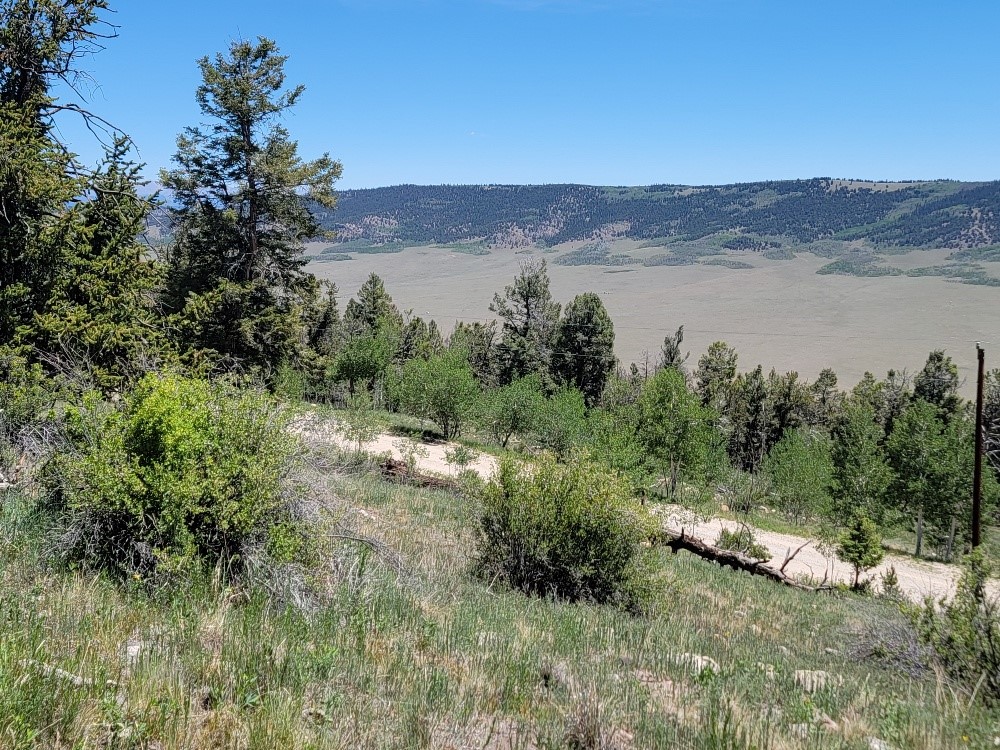 5217 Middle Fork Fairplay CO 80440