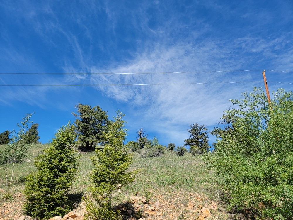 5217 Middle Fork Fairplay CO 80440