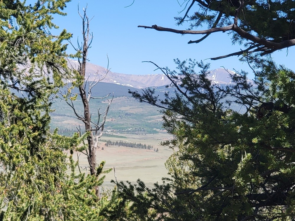 5217 Middle Fork Fairplay CO 80440