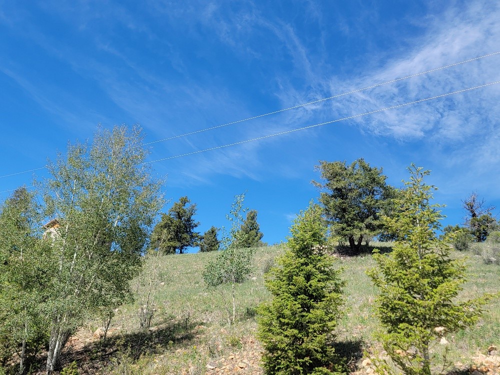 5217 Middle Fork Fairplay CO 80440