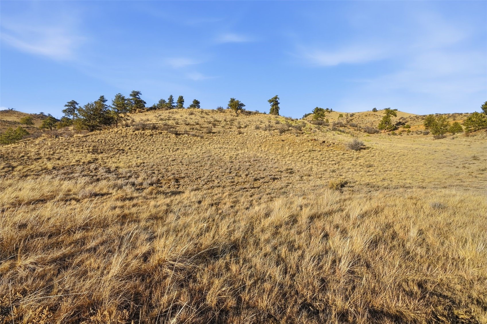 3490 Clear Creek Road Hartsel CO 80449