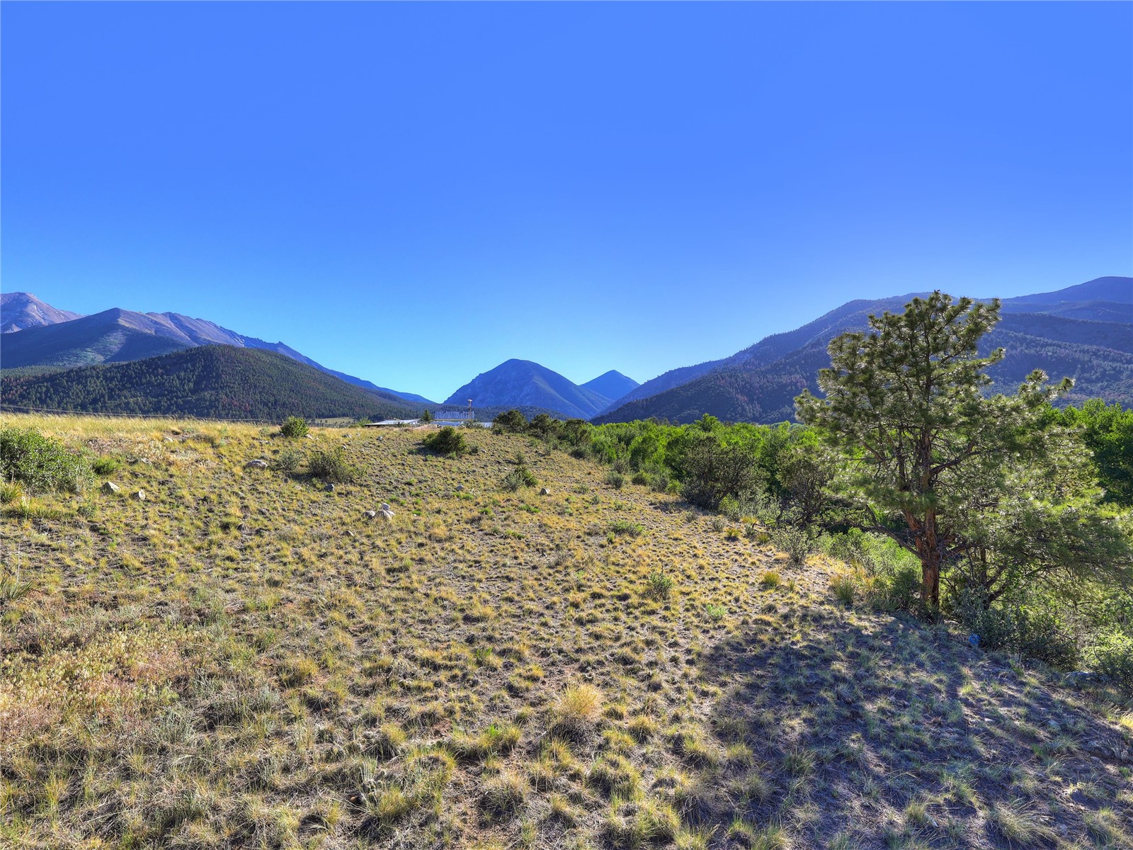 17550 Primrose Lane Buena Vista CO 81211