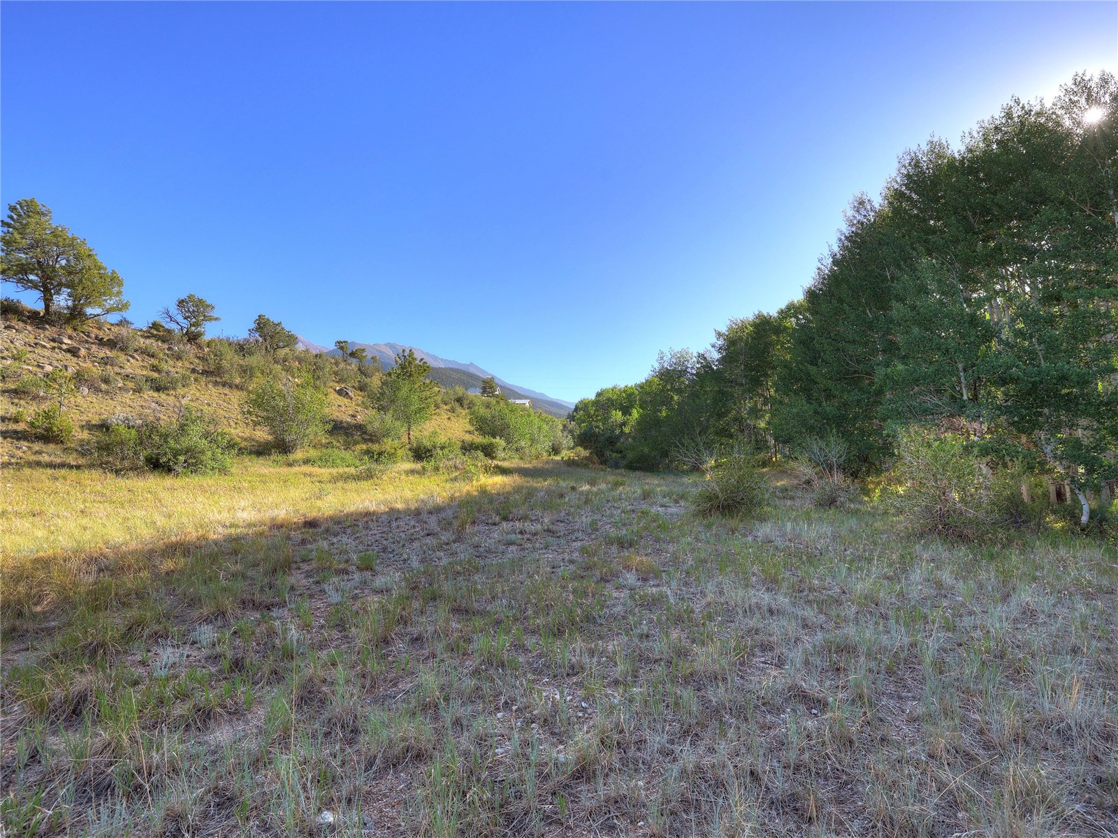 17550 Primrose Lane Buena Vista CO 81211