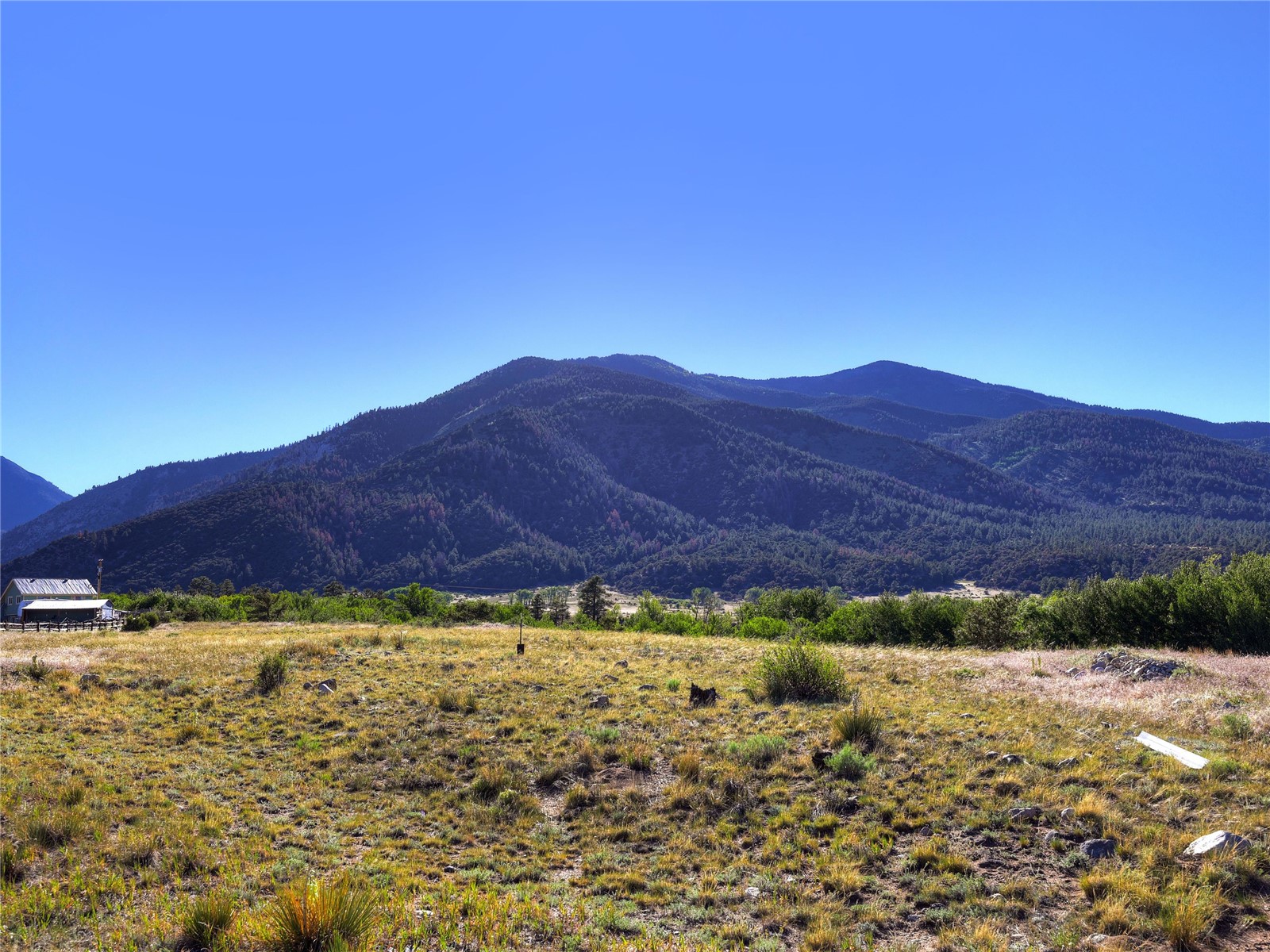 17550 Primrose Lane Buena Vista CO 81211