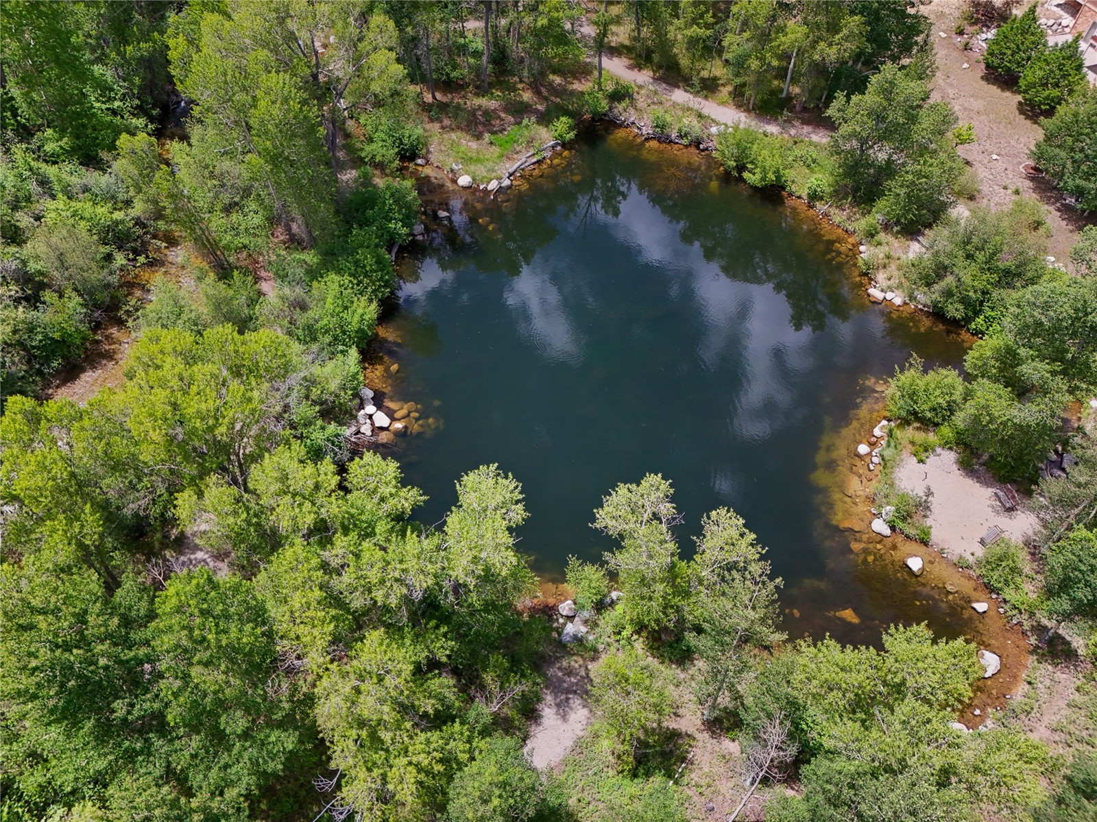 17550 Primrose Lane Buena Vista CO 81211