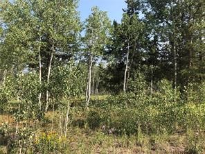 Lot 28 Haywagon Trail Oak Creek CO 80467