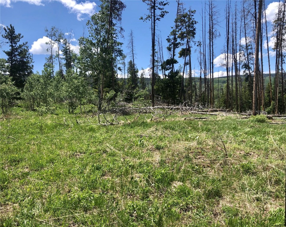 Lot 28 Haywagon Trail Oak Creek CO 80467