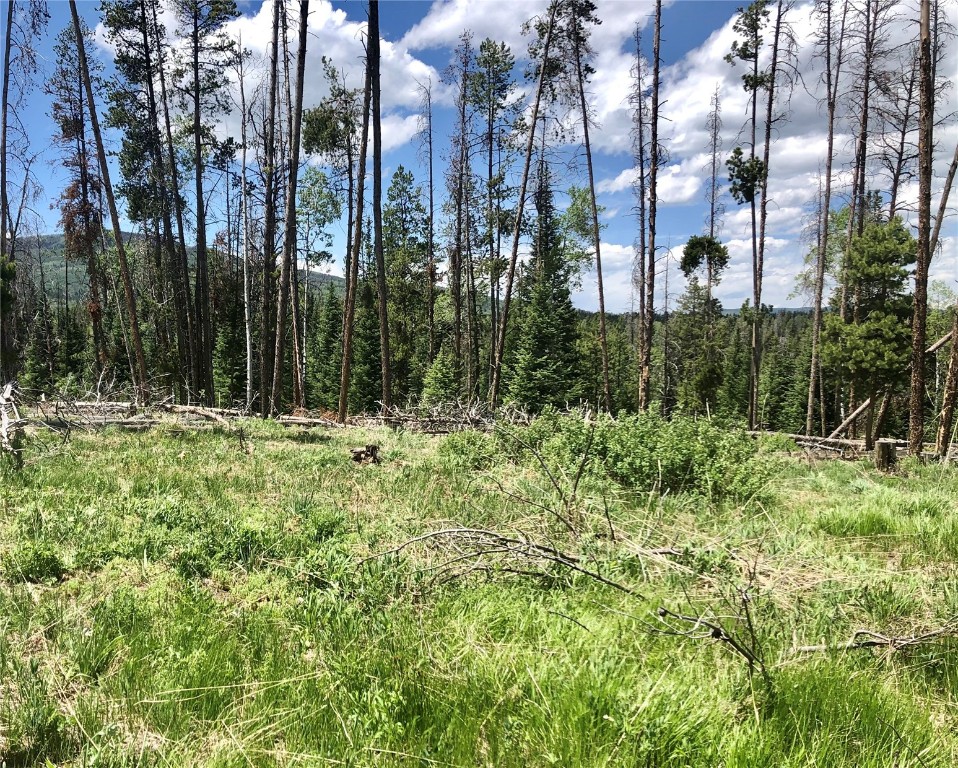 Lot 28 Haywagon Trail Oak Creek CO 80467