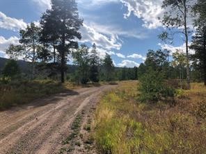 Lot 28 Haywagon Trail Oak Creek CO 80467