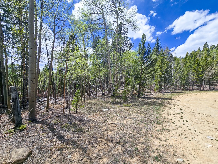 151 Donna Drive Fairplay CO 80440