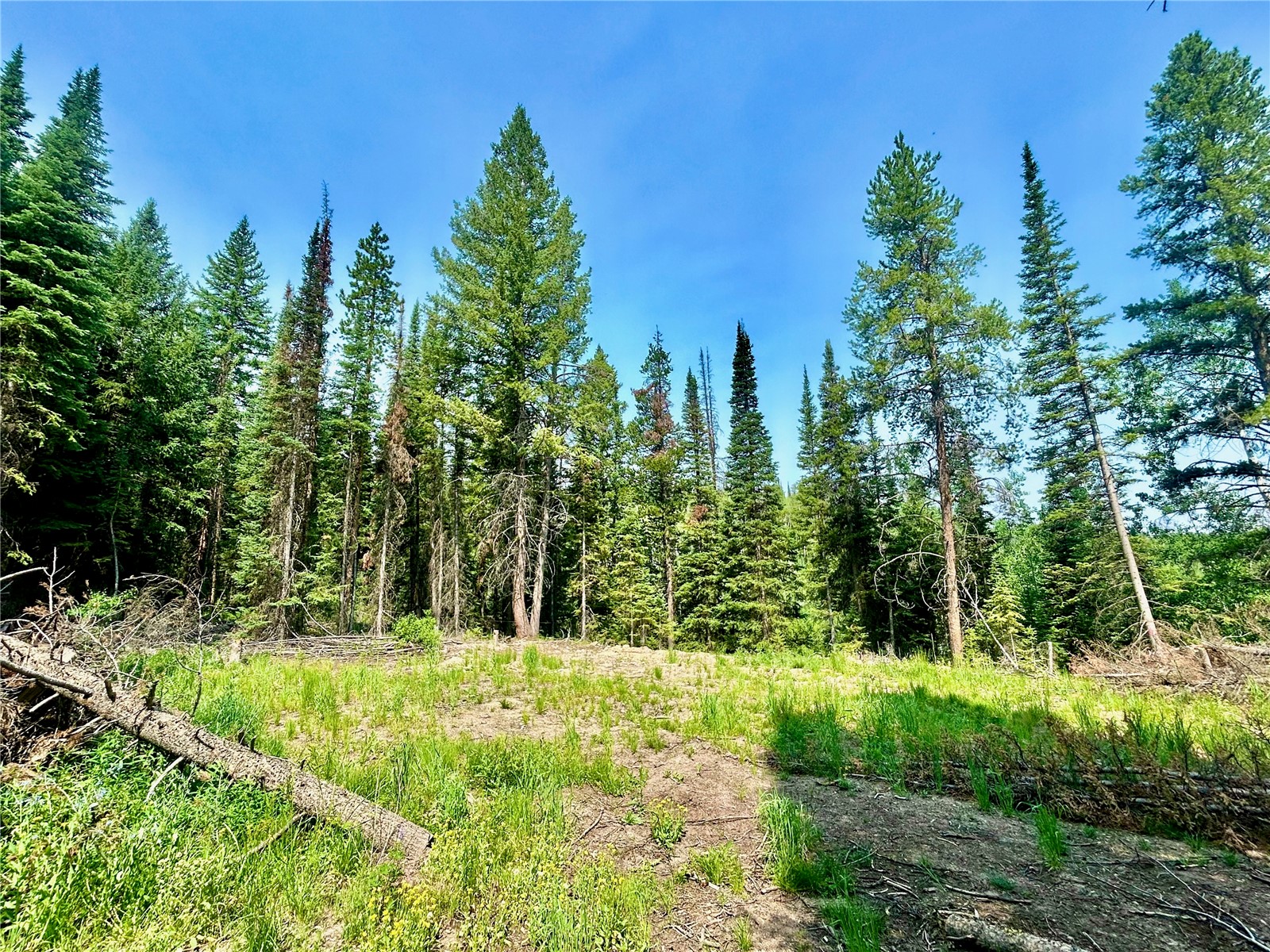 Lot 38 Colt Trail Oak Creek CO 80467