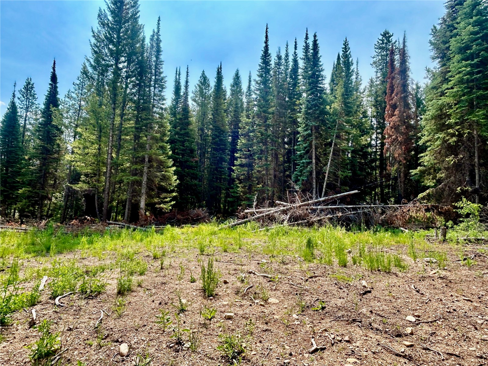 Lot 38 Colt Trail Oak Creek CO 80467