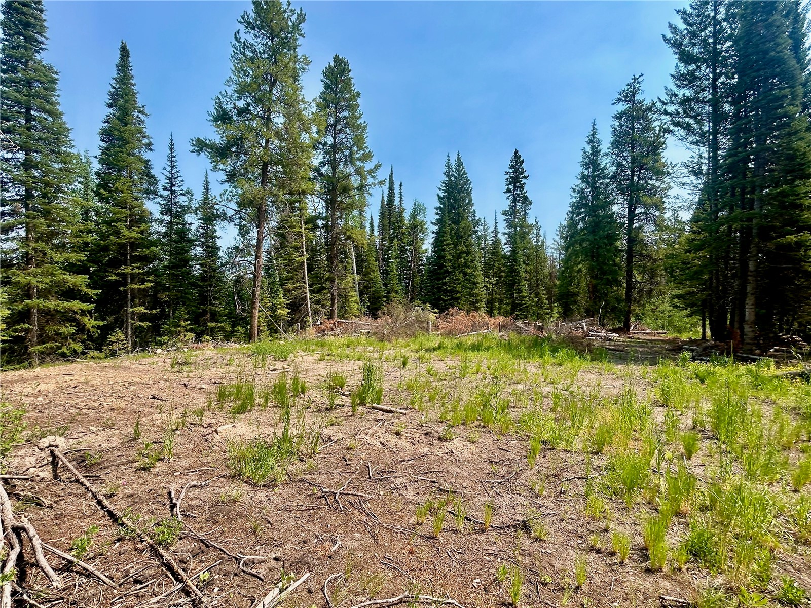Lot 38 Colt Trail Oak Creek CO 80467