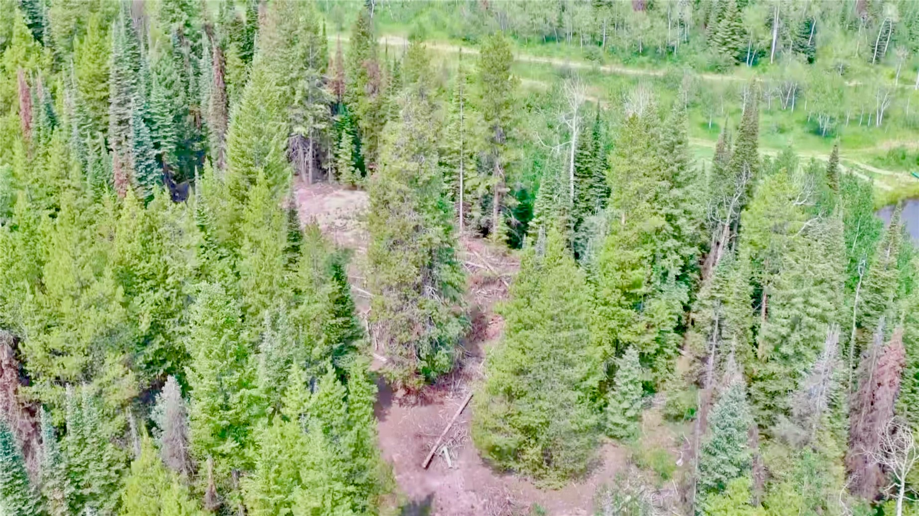 Lot 38 Colt Trail Oak Creek CO 80467