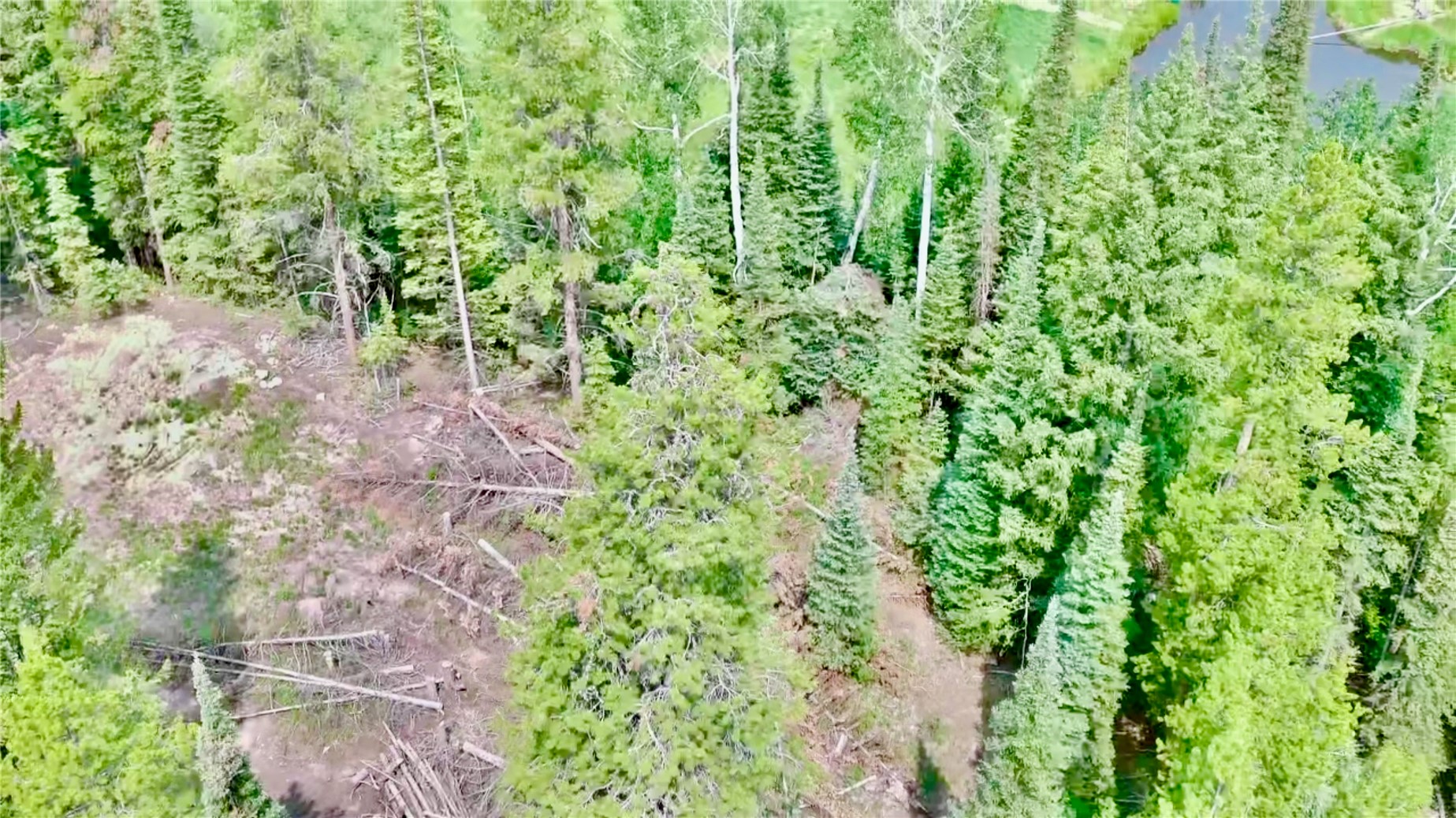 Lot 38 Colt Trail Oak Creek CO 80467