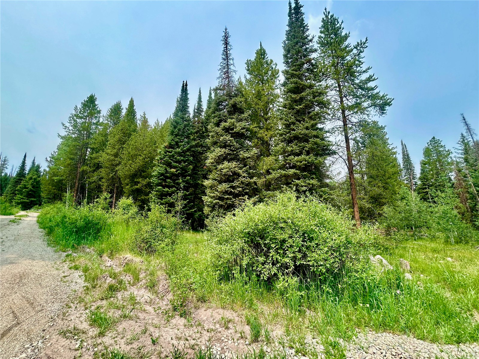 Lot 38 Colt Trail Oak Creek CO 80467