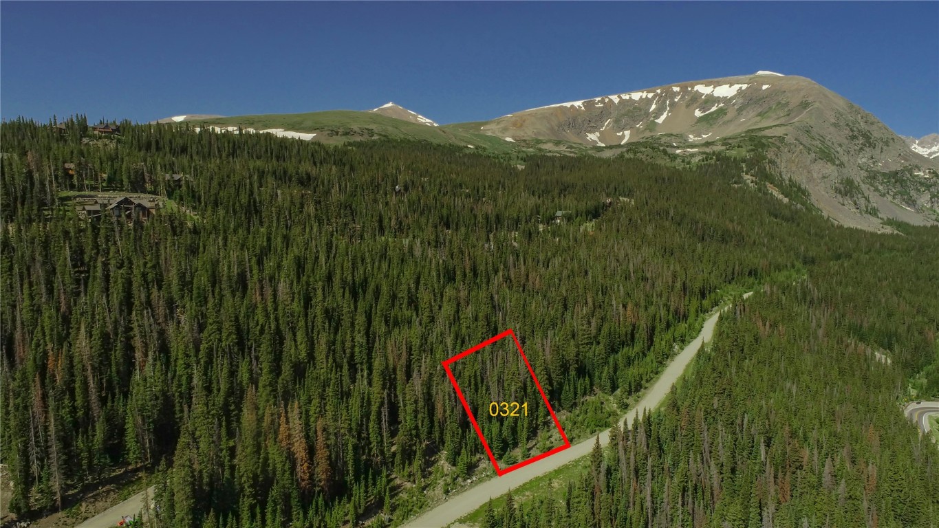 321 Cr 805 Breckenridge CO 80424