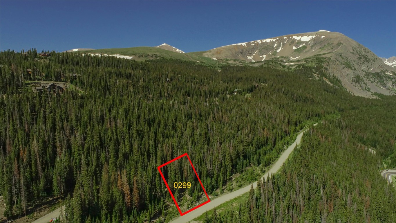 321 Cr 805 Breckenridge CO 80424