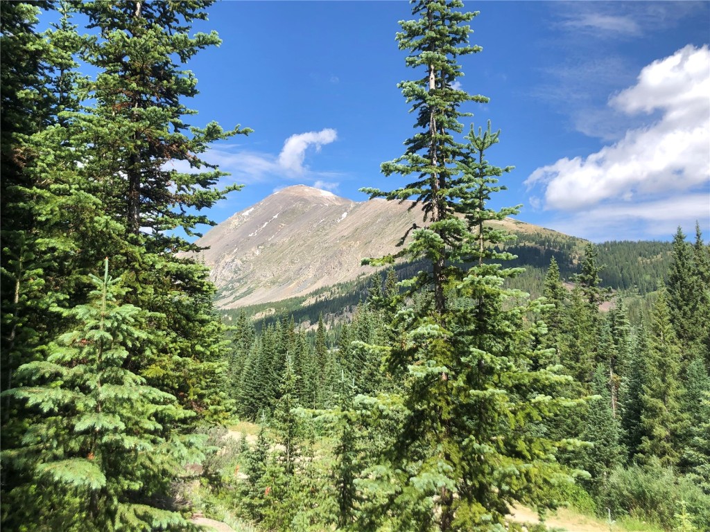 321 Cr 805 Breckenridge CO 80424