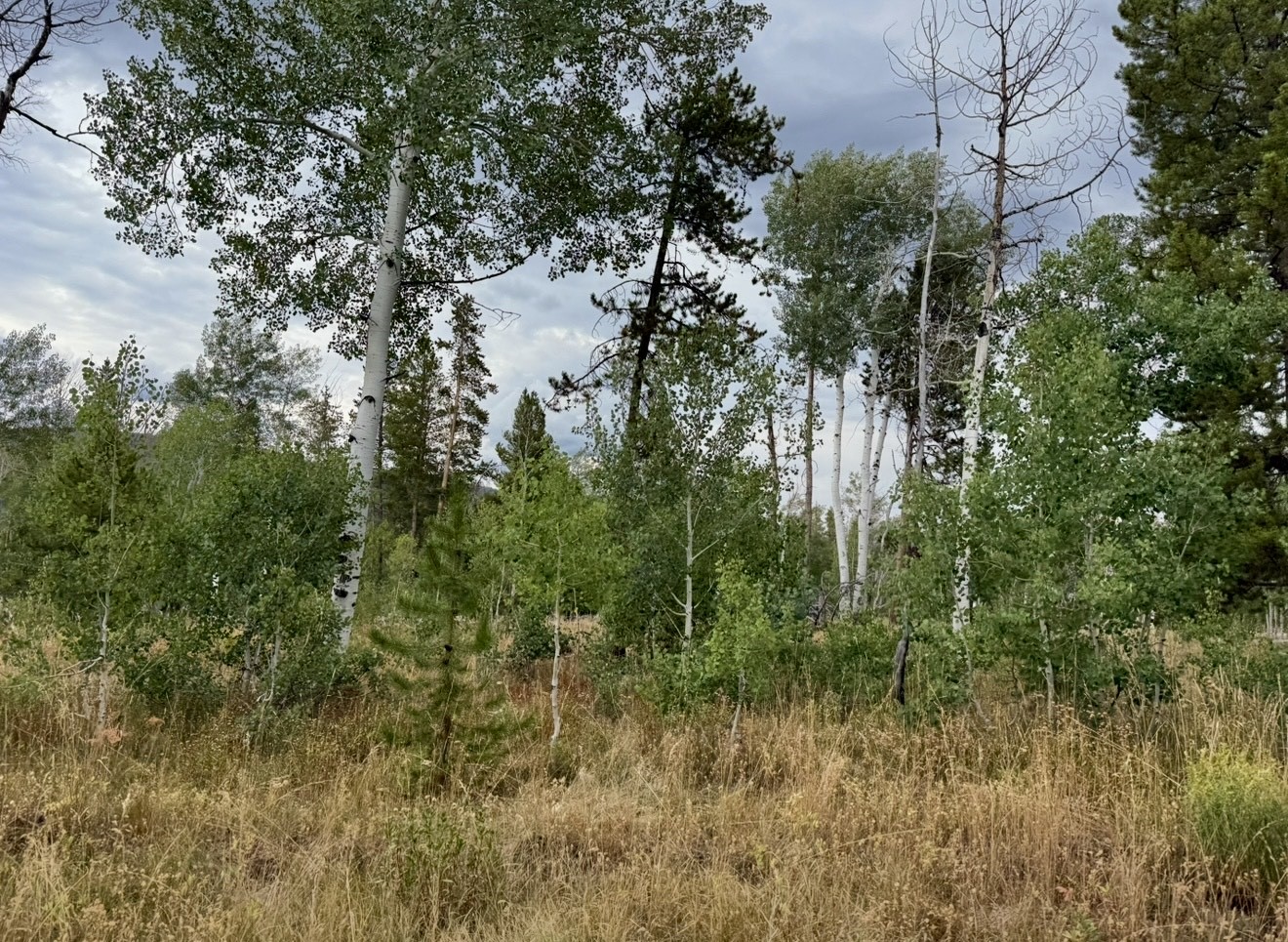 Lot 200 Fargo Way Oak Creek CO 80467