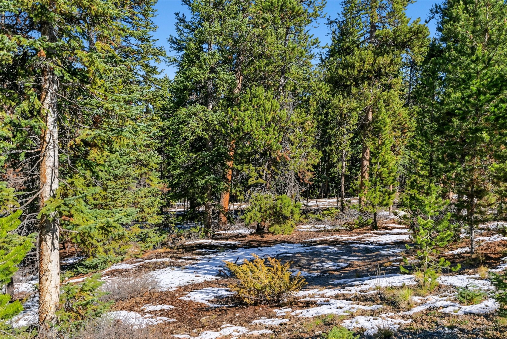 285 Green Jay Lane Breckenridge CO 80424