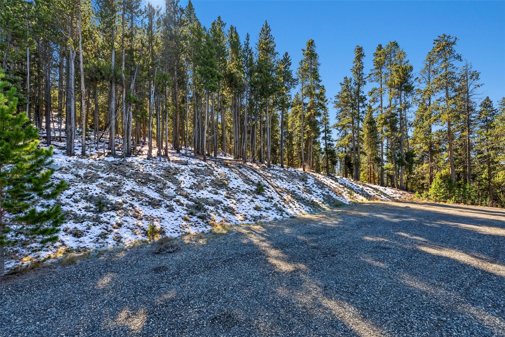 285 Green Jay Lane Breckenridge CO 80424