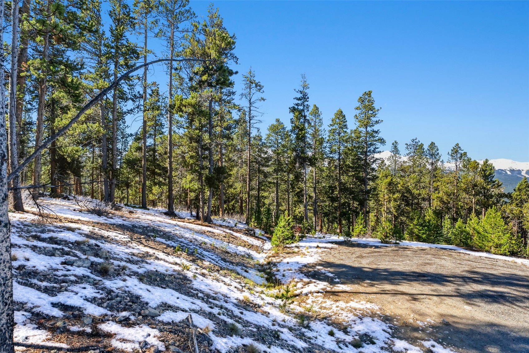 285 Green Jay Lane Breckenridge CO 80424