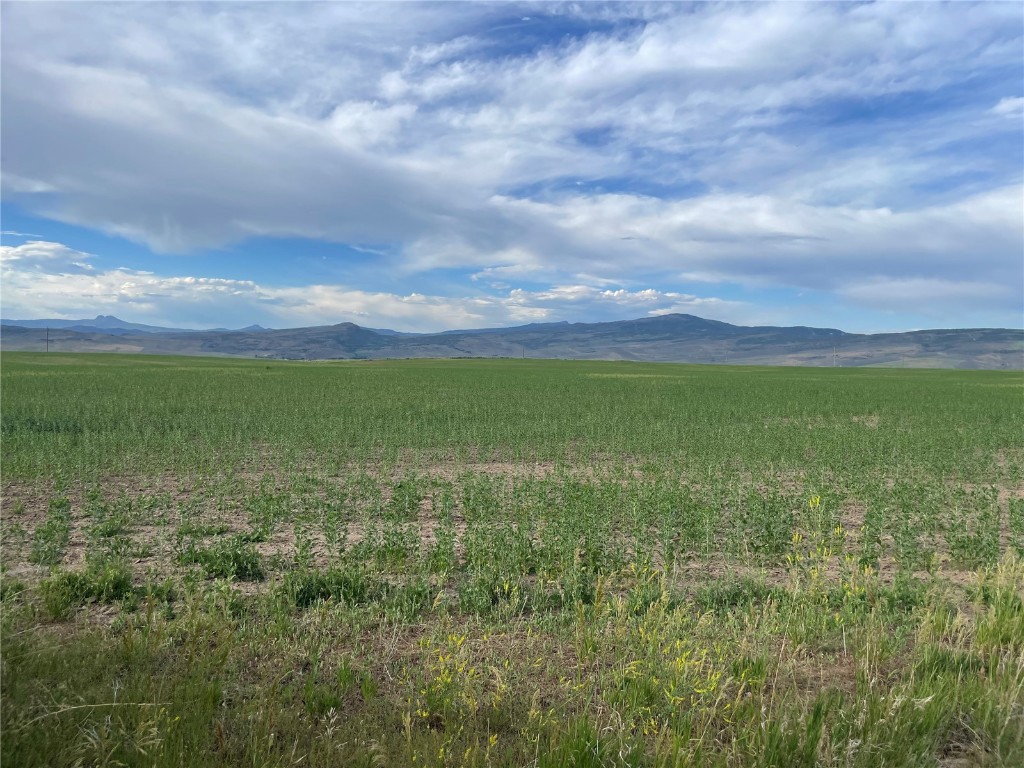 Tbd Cr 50 Hayden CO 81639