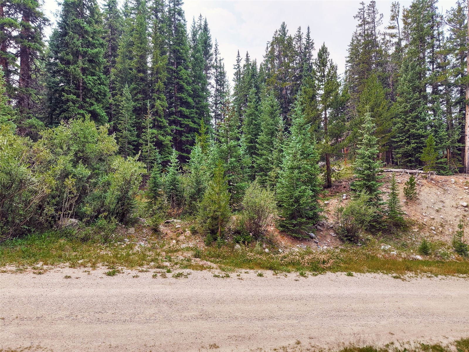 757 County Road 674 Breckenridge CO 80424