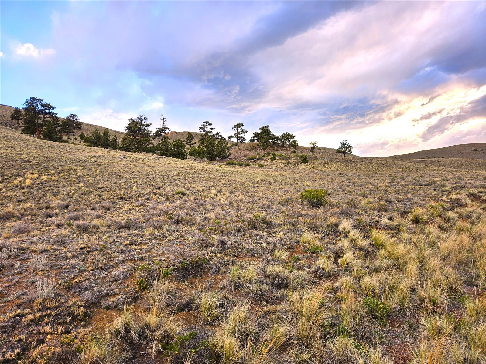 PCS#25427 Yuma Road Hartsel CO 80449