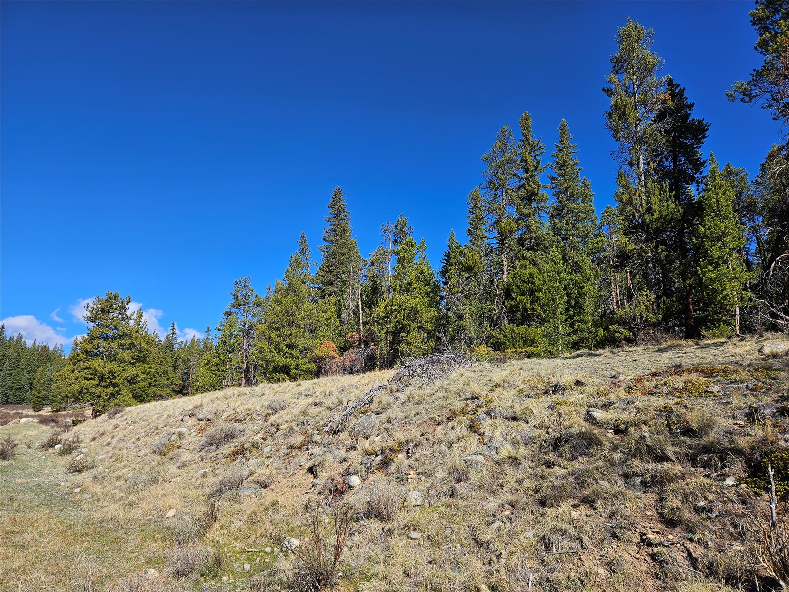 PCS#7765 & 12057 Rollies Trail Alma CO 80420