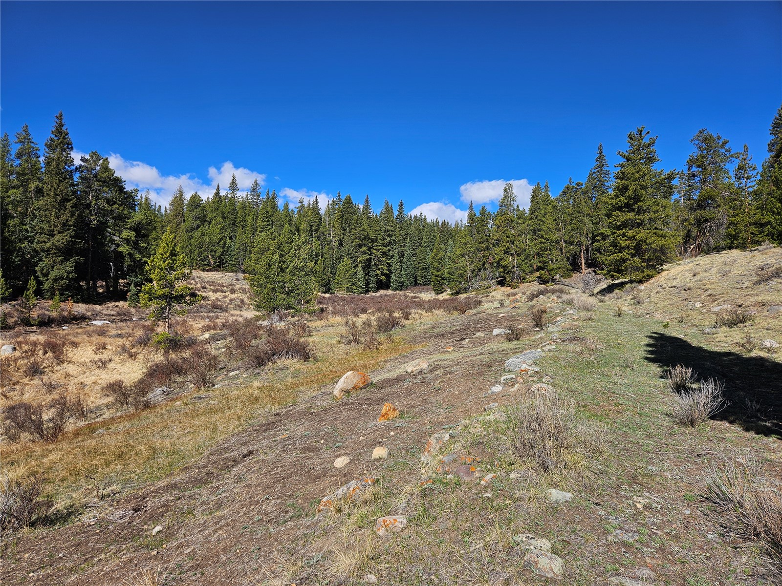 PCS#7765 & 12057 Rollies Trail Alma CO 80420