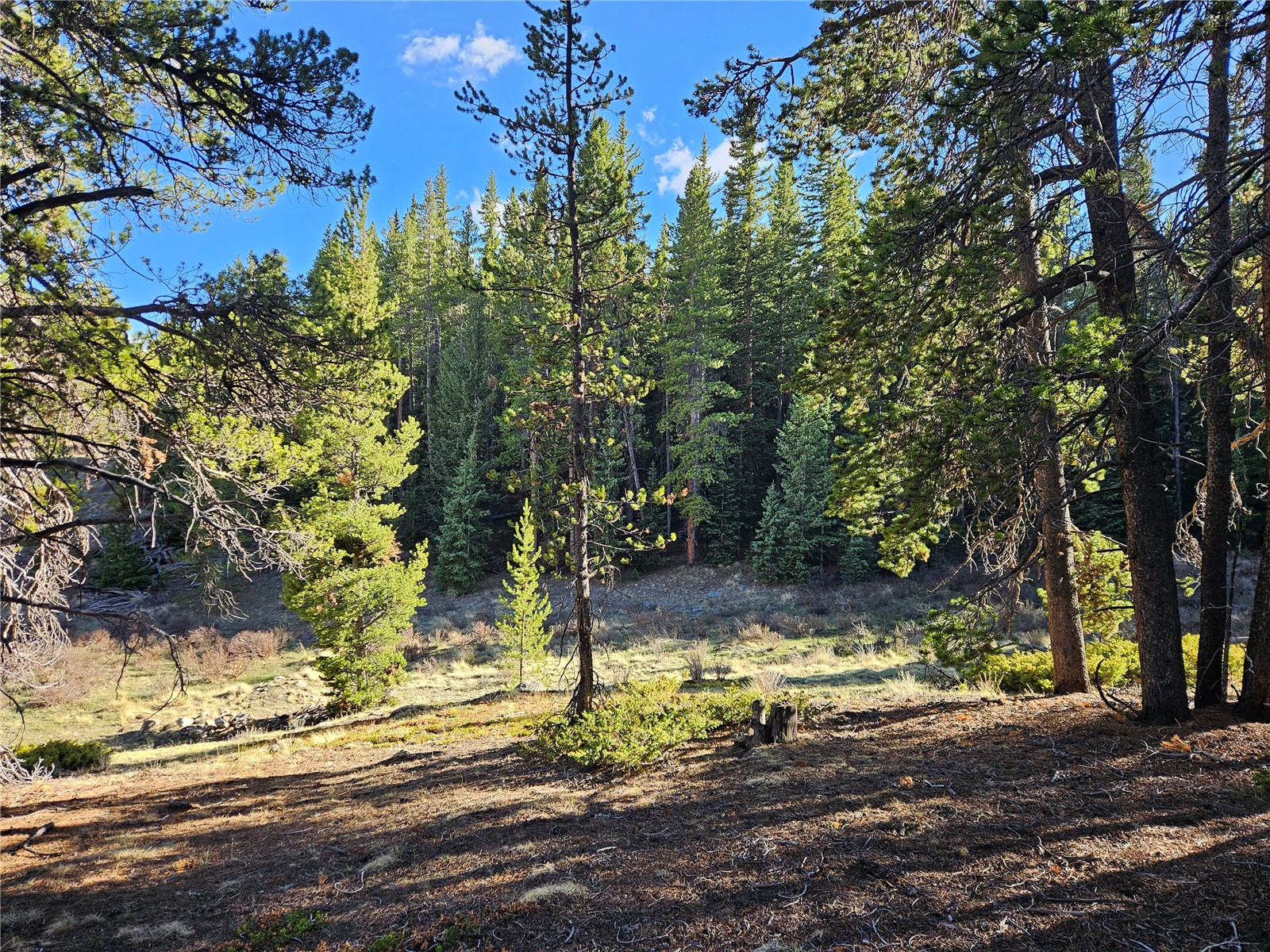 PCS#7765 & 12057 Rollies Trail Alma CO 80420