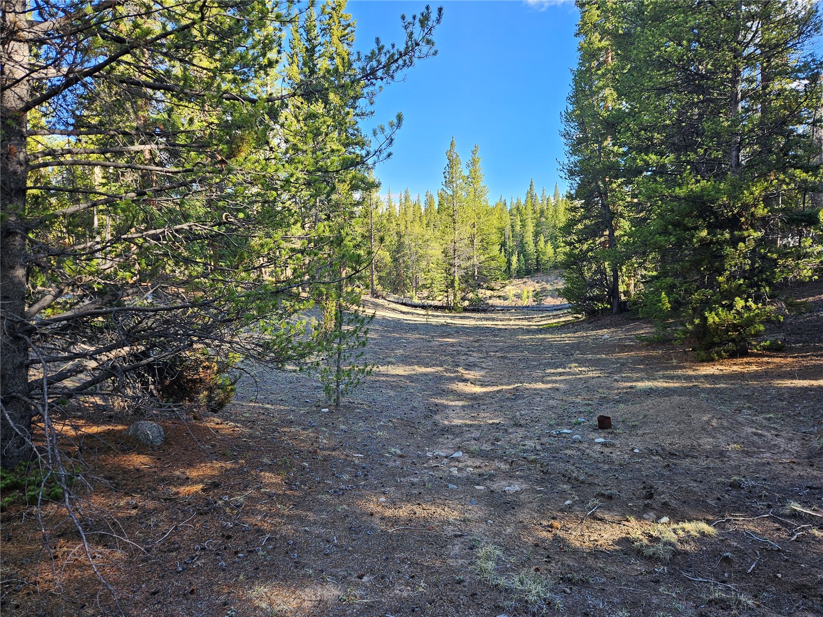 PCS#7765 & 12057 Rollies Trail Alma CO 80420