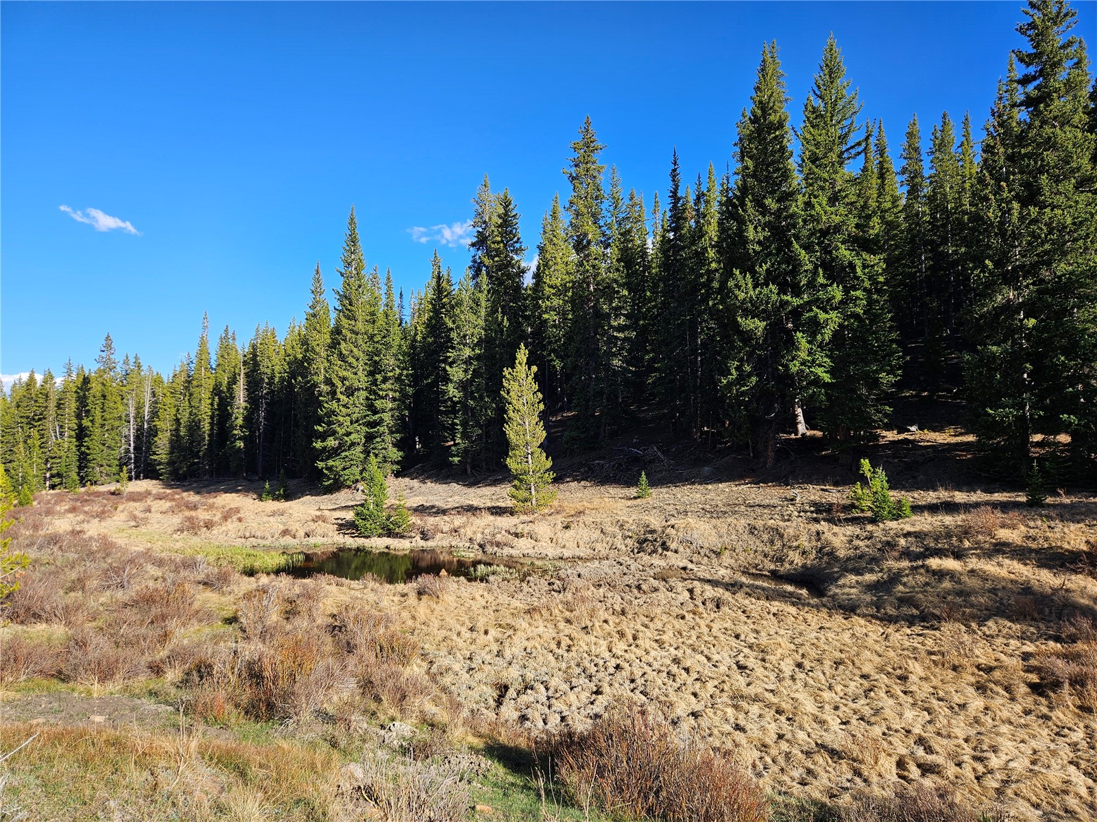 PCS#7765 & 12057 Rollies Trail Alma CO 80420
