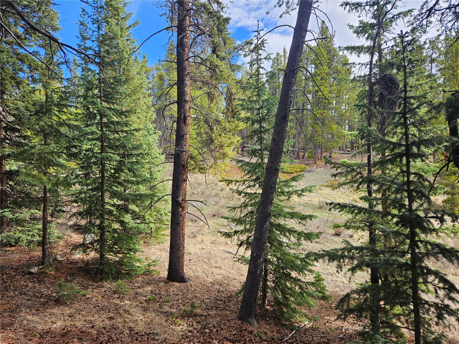 PCS#7765 & 12057 Rollies Trail Alma CO 80420