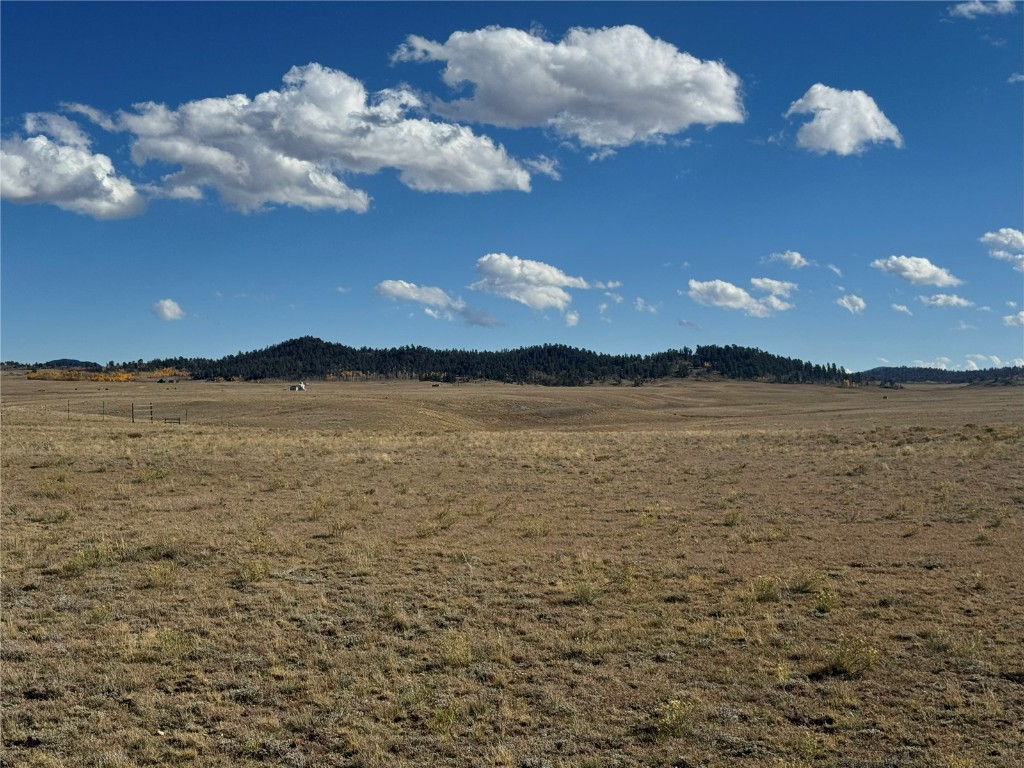 00 Arapahoe Road Hartsel CO 80449