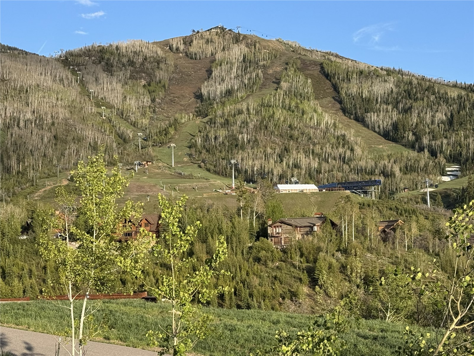 2529 Mountain View Lane Steamboat Springs CO 80487