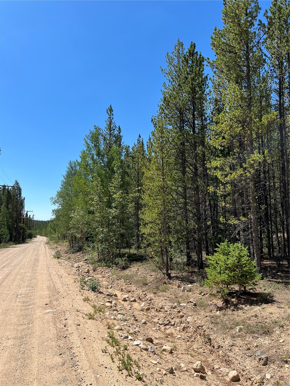 163 Co Road 665 Fairplay CO 80440